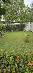 Clementi Park (D21), Detached #471371051